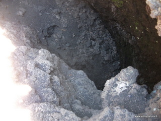 otta delle femmine di monte Nero-12-05-2013 11-49-26